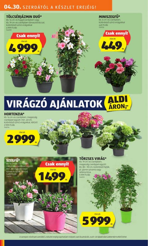 ALDI akciós újság