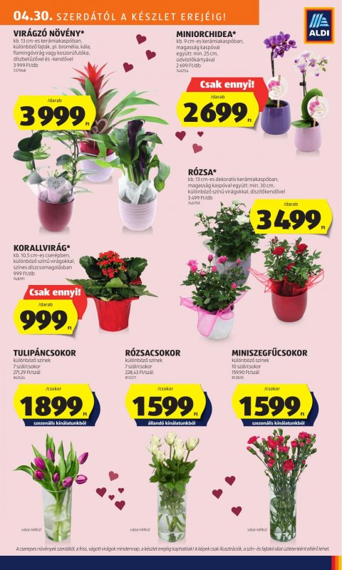 ALDI akciós újság