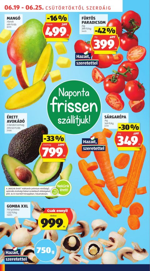 ALDI akciós újság