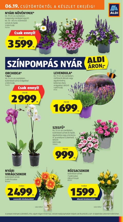 ALDI akciós újság