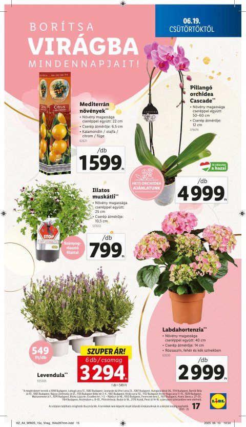 LIDL akciós újság