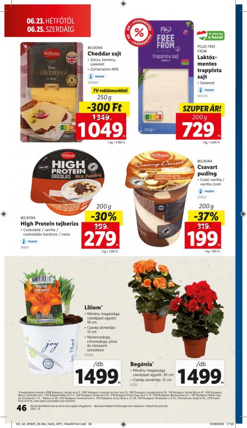 LIDL akciós újság