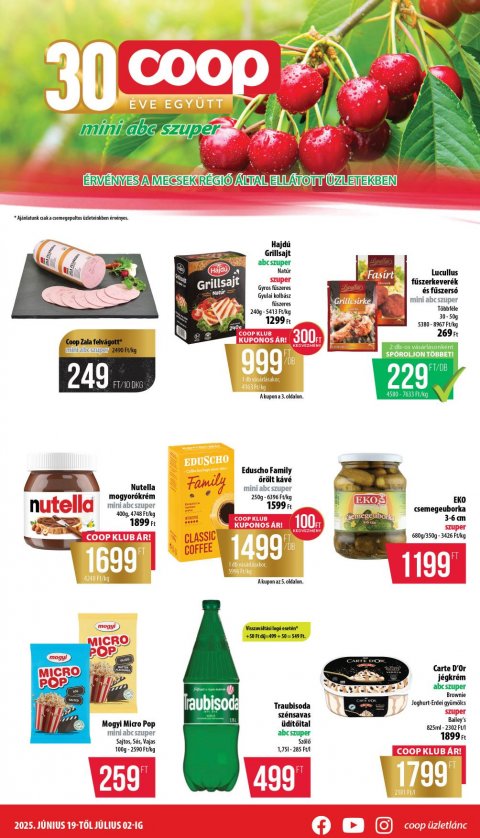 COOP Mecsek akciós újság
