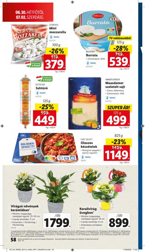 LIDL akciós újság