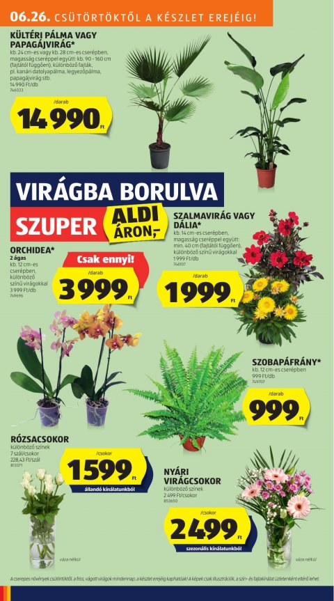 ALDI akciós újság