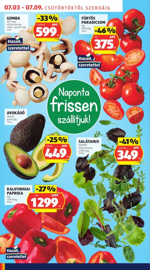 ALDI akciós újság