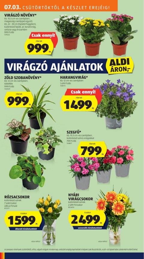 ALDI Középső sor akciós újság