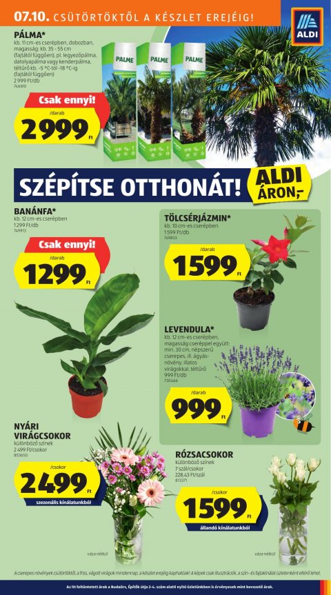 ALDI akciós újság
