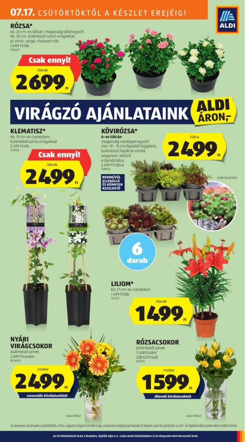 ALDI akciós újság