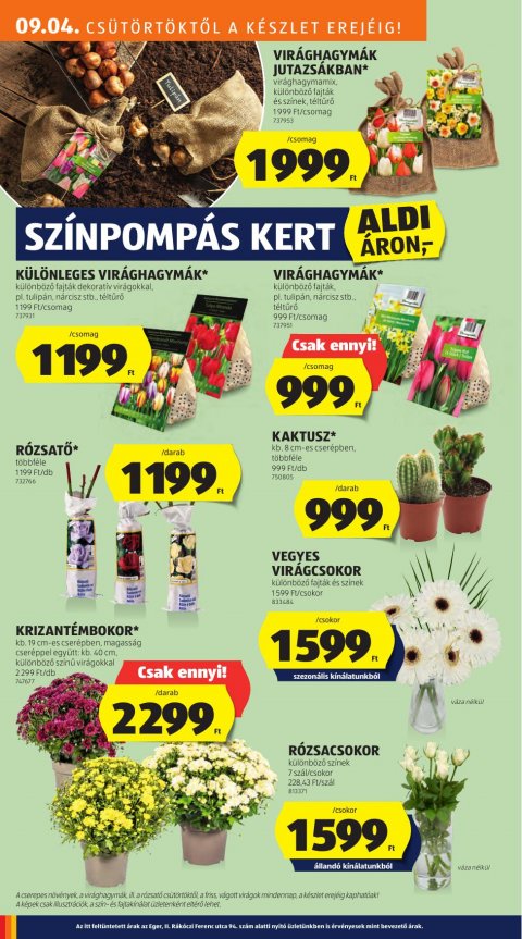 ALDI akciós újság