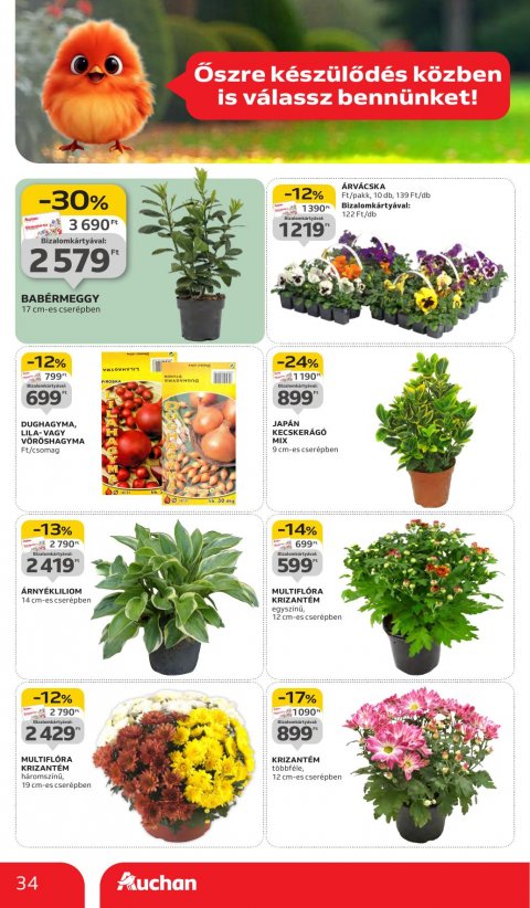 AUCHAN Hipermarket akciós újság