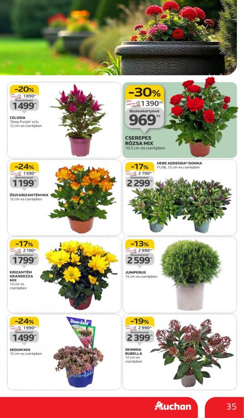 AUCHAN Hipermarket akciós újság