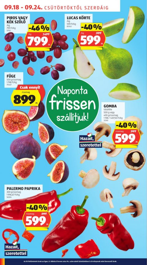 ALDI akciós újság