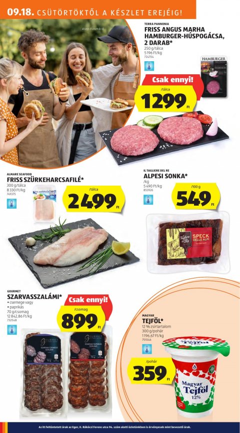 ALDI akciós újság