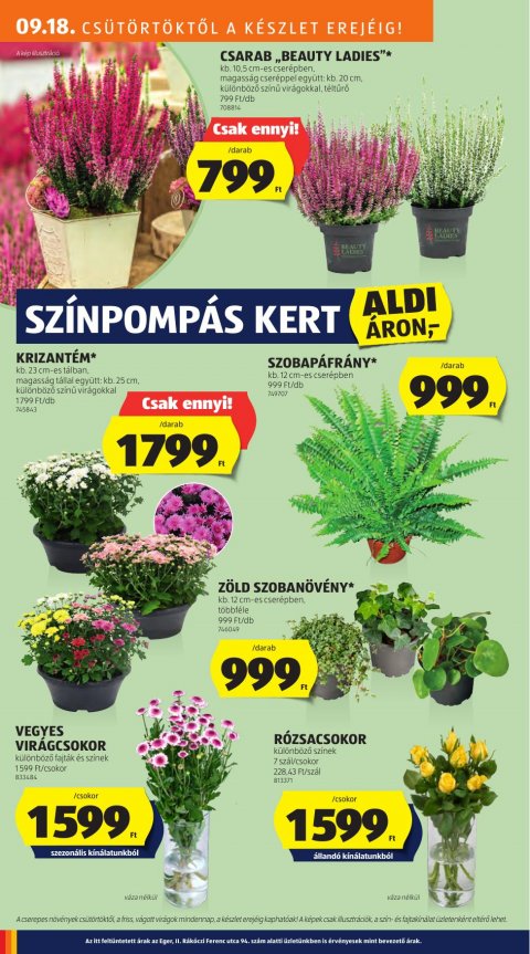 ALDI akciós újság