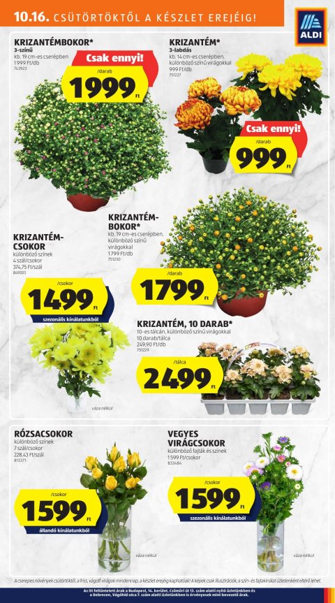 ALDI akciós újság