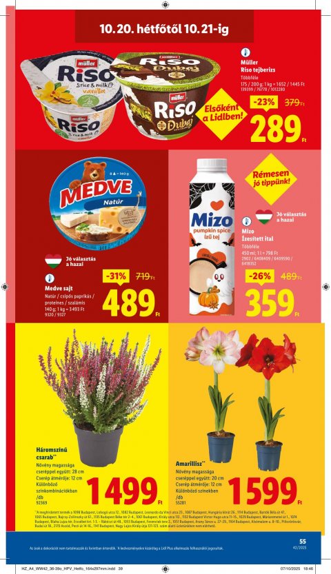 LIDL akciós újság