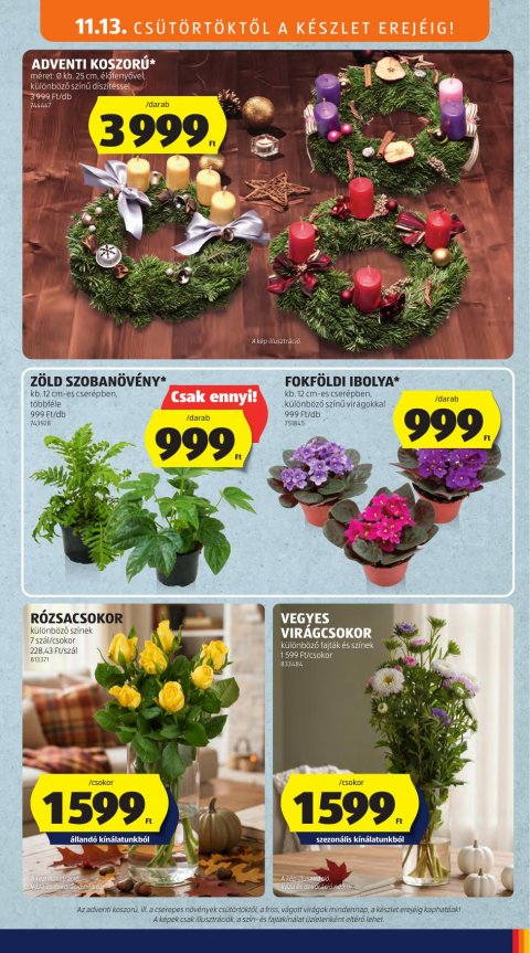 ALDI akciós újság