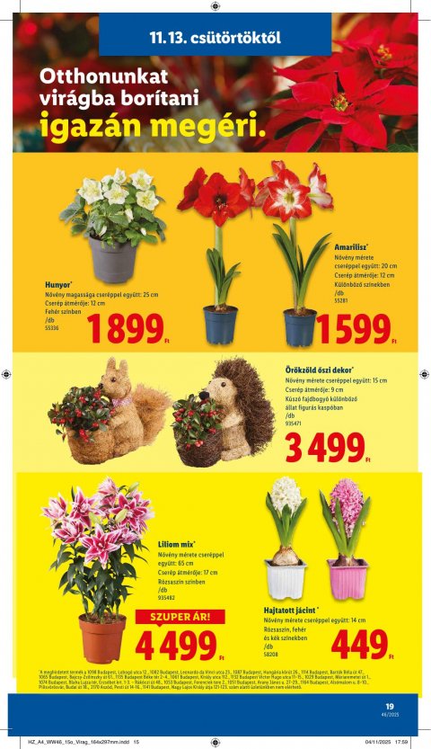 LIDL akciós újság