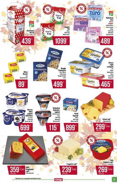 COOP Alföld akciós újság