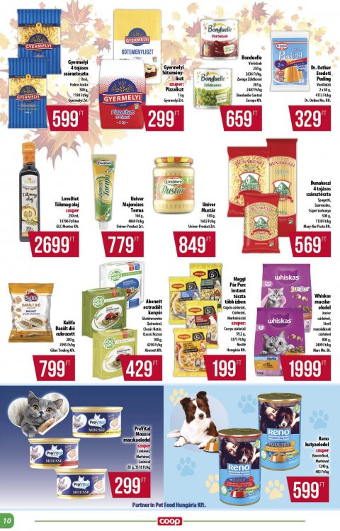 COOP Alföld akciós újság