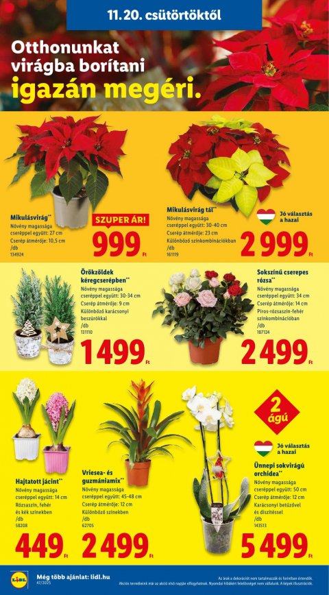 LIDL akciós újság