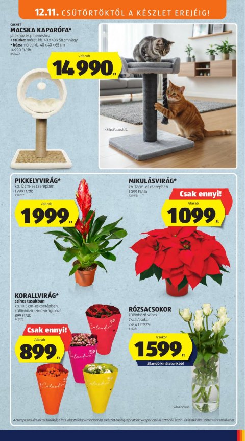 ALDI akciós újság