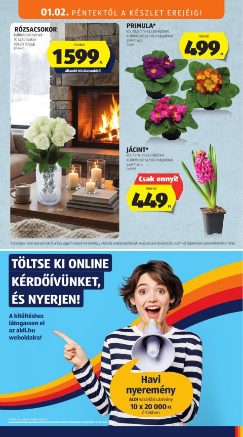 ALDI akciós újság