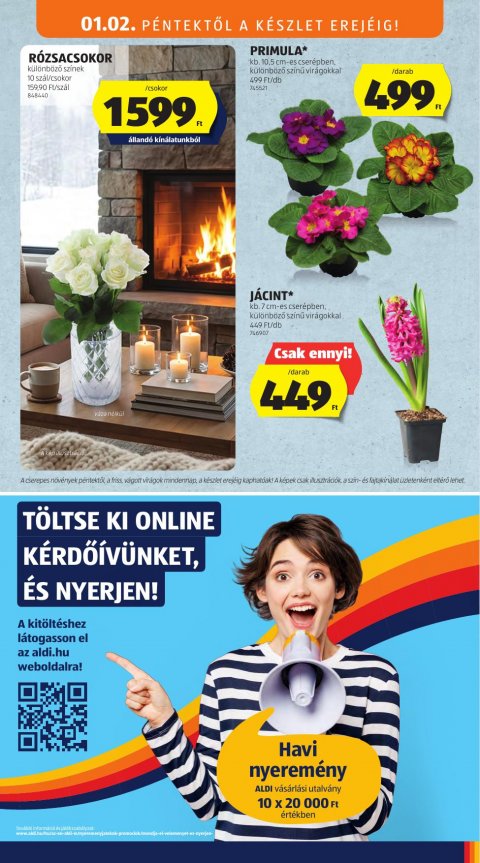ALDI Középső sor akciós újság