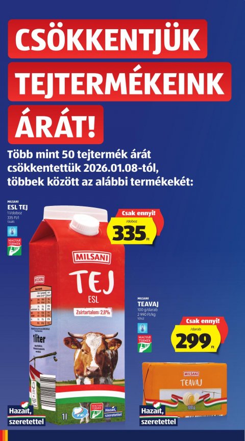 ALDI akciós újság