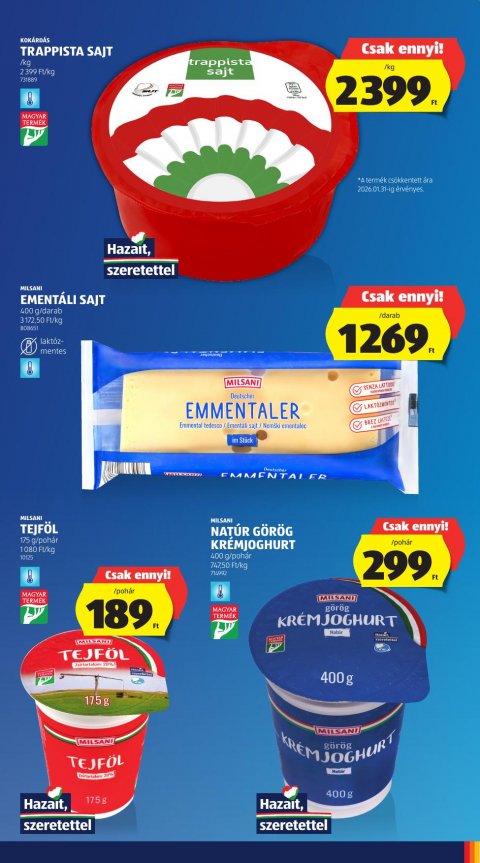 ALDI akciós újság