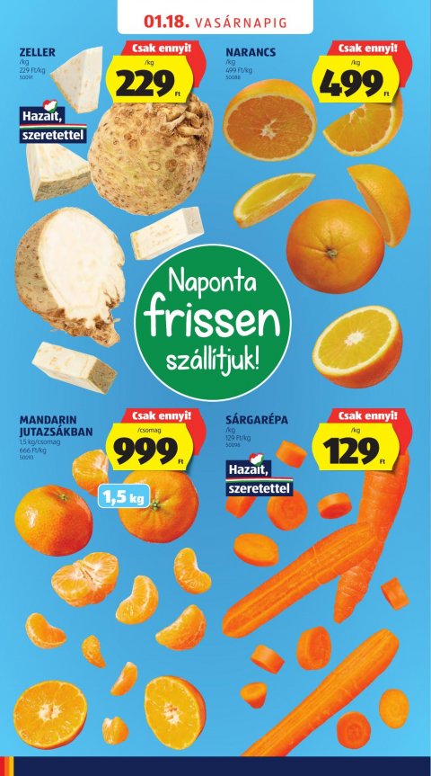 ALDI Újranyitás Baja, Dózsa György út 87. akciós újság