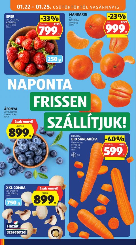 ALDI akciós újság