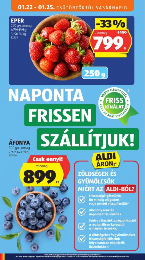 ALDI akciós újság