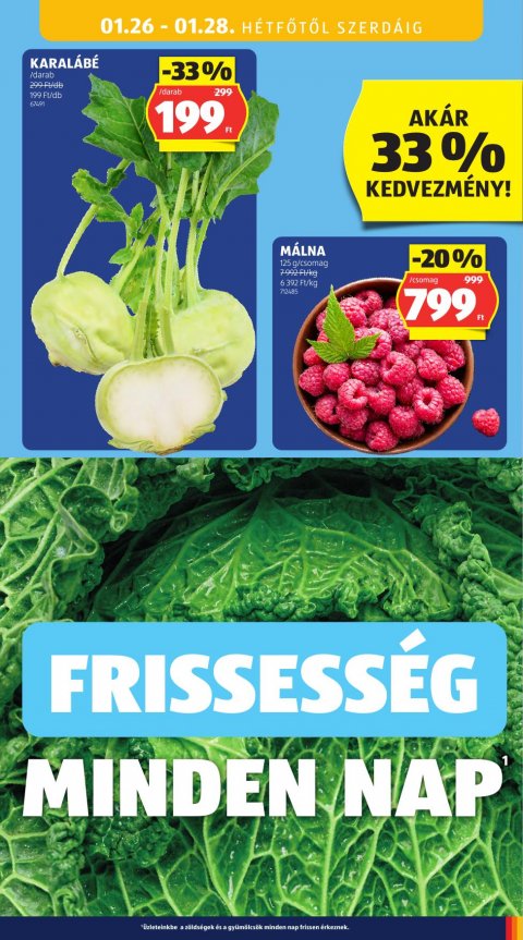 ALDI akciós újság