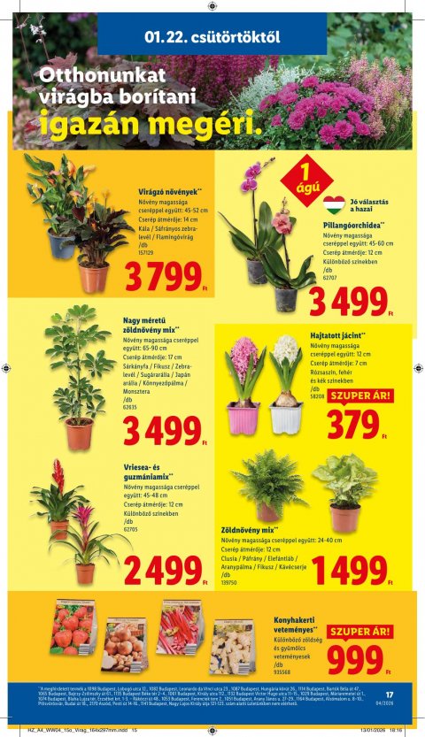 LIDL akciós újság