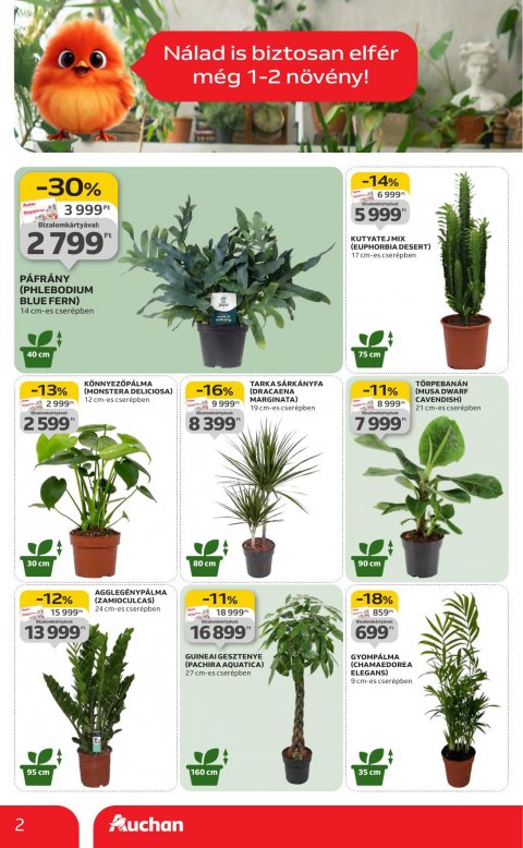 AUCHAN Hipermarket akciós újság