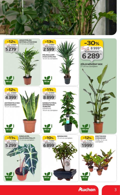 AUCHAN Hipermarket akciós újság