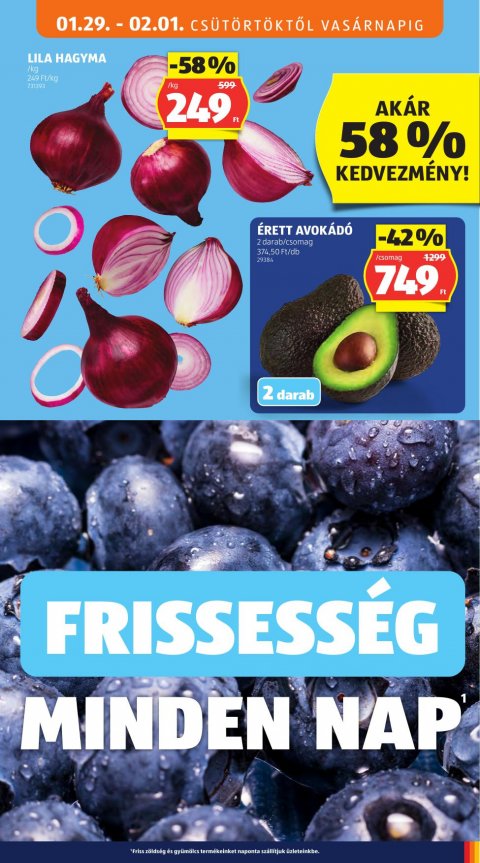 ALDI akciós újság