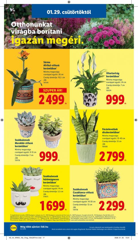 LIDL akciós újság