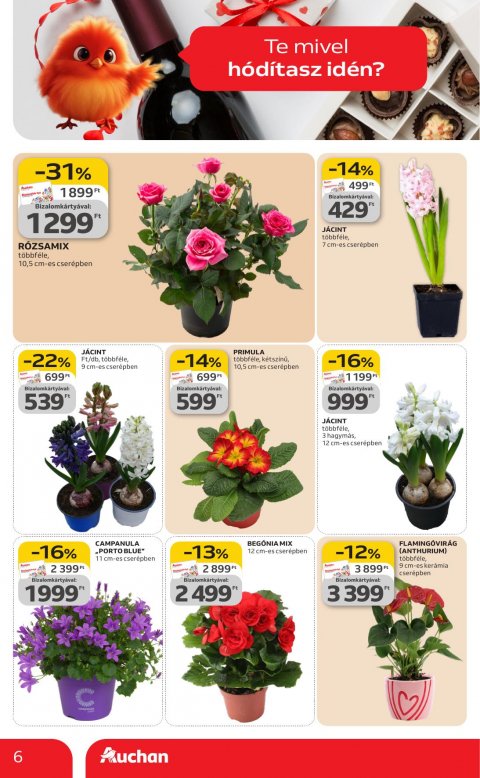 AUCHAN Hipermarket Valentin nap akciós újság