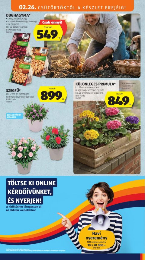 ALDI akciós újság