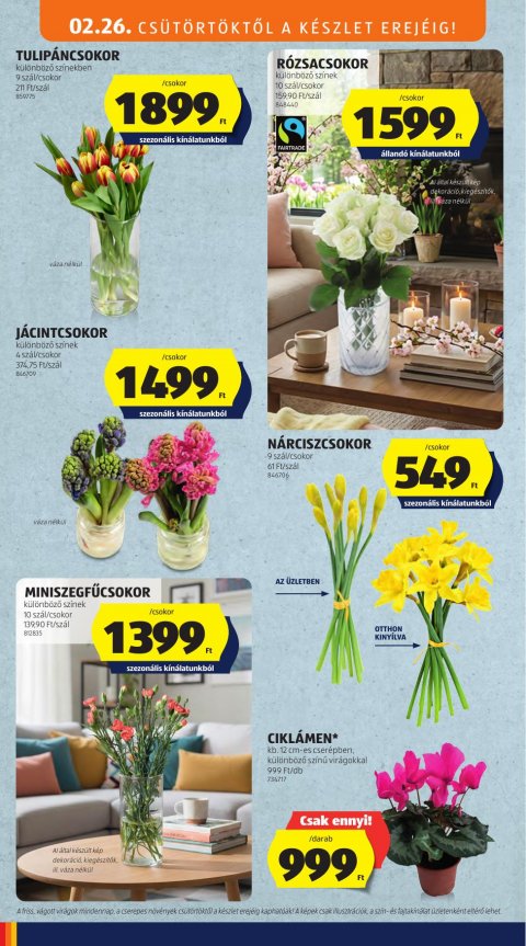 ALDI akciós újság