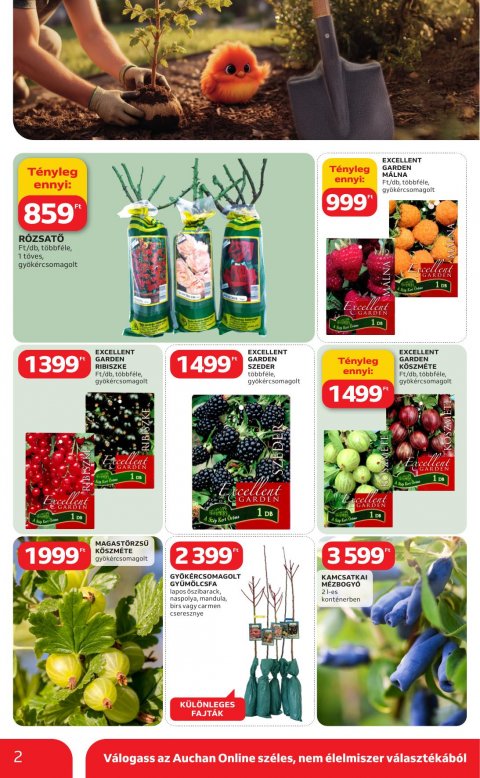 AUCHAN Hipermarket Ki a szabadba akciós újság