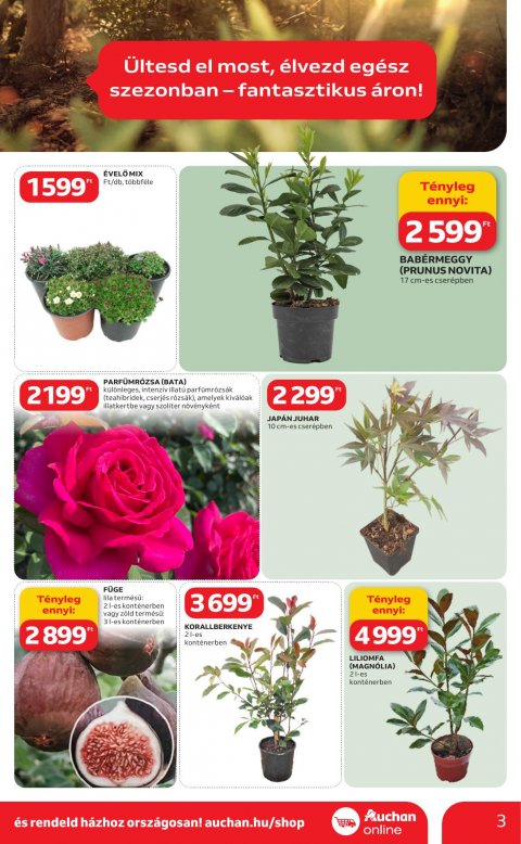 AUCHAN Hipermarket Ki a szabadba akciós újság