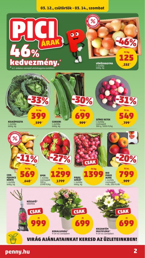 PENNY akciós újság
