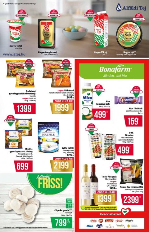 COOP Alföld akciós újság