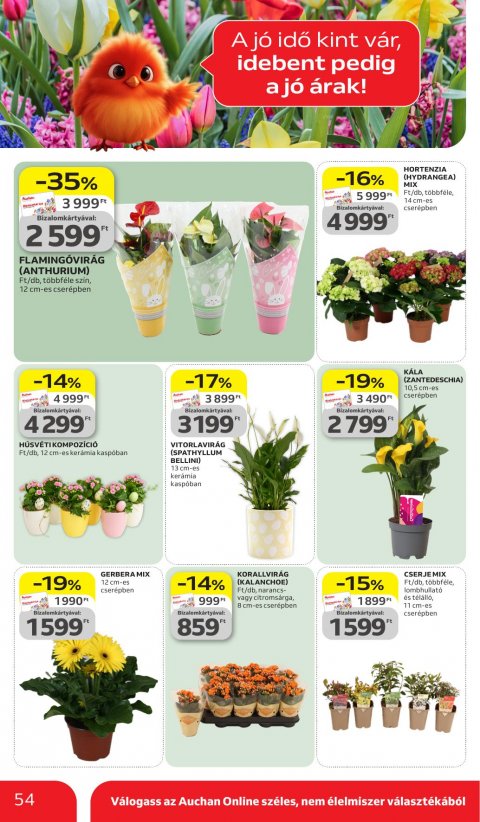 AUCHAN Hipermarket akciós újság