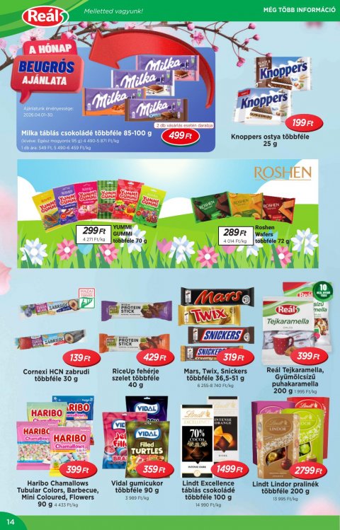 REAL Országos akciós újság