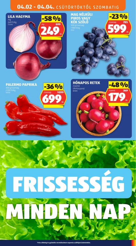 ALDI akciós újság